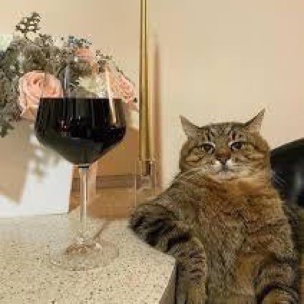 Meet your Posher, Gimmy